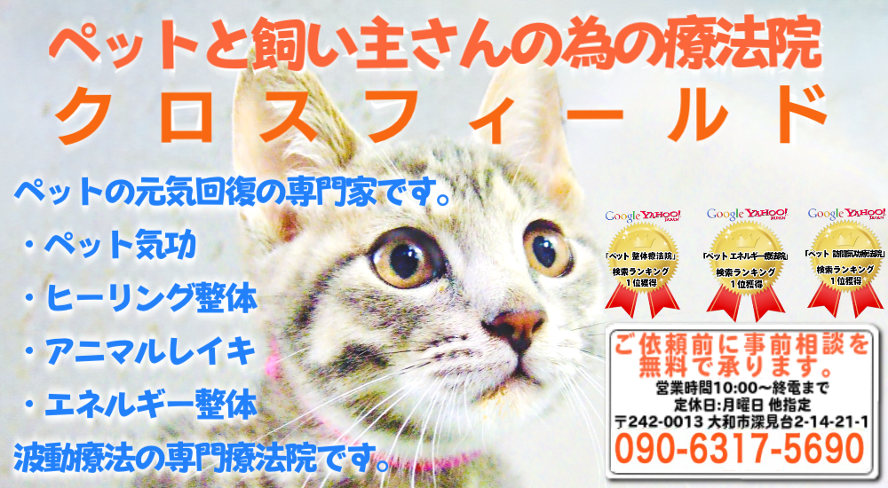 ペット飼い主さんの為の療法院